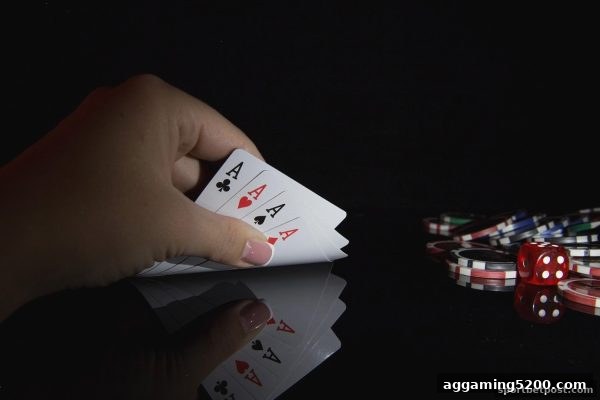 体育投注站详解：骰宝注法概率与欧洲杯直播实战策略
