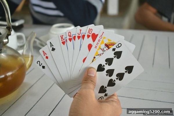 体育投注站玩家攻略：打造完美桌游夜的完全指南