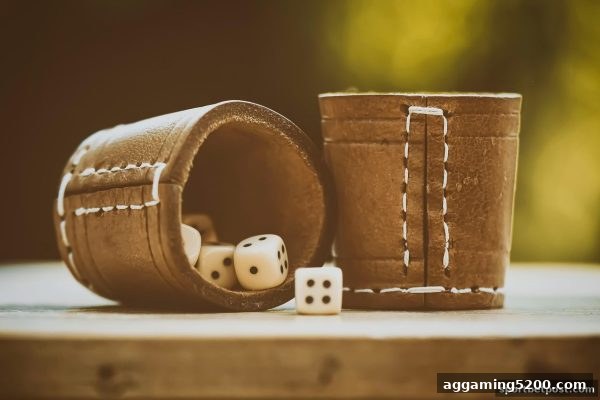 快3冷热号实战指南：体育投注站带你玩转历史数据与号码概率
