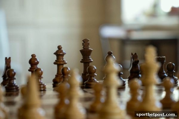 新手必看：3D彩票与围棋术语全解析——体育投注站带你轻松入门