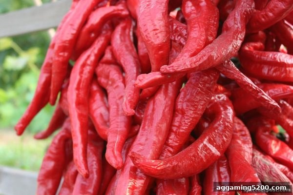 体育投注站每日签到攻略：重庆数字游戏平台用户专属回馈全解析