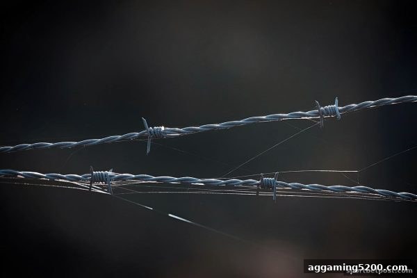 个人信息保护新视角：体育投注站如何确保您的隐私安全