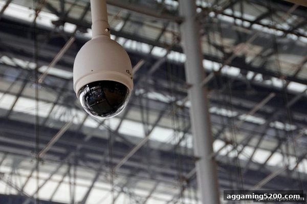 体育投注站推荐：娱乐平台信用评级与安卓端下载实战指南