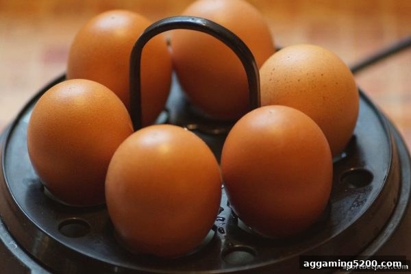 体育投注站指南：电子游戏奖励环节的完整解析与策略